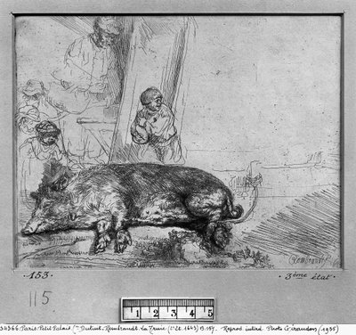 The Sow, 1643 by Rembrandt van Rijn